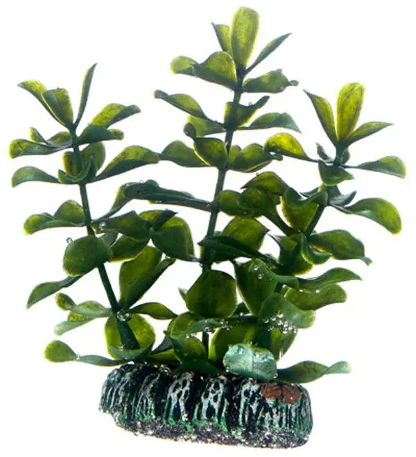 Hobby Bacopa 7 cm